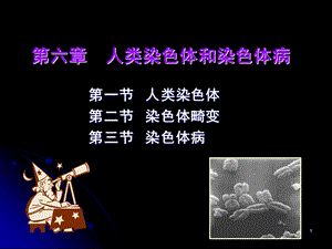 六章人类染色体和染色体病.ppt