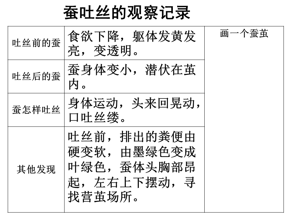 三下科学作业本第二单元表格参考答案.ppt_第3页