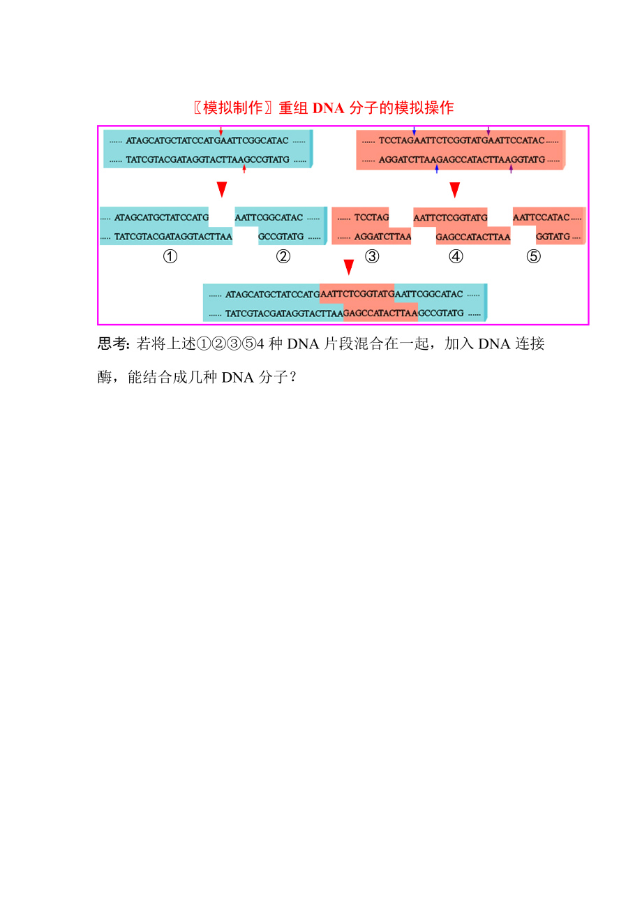 重组DNA分子的模拟操作.doc_第1页