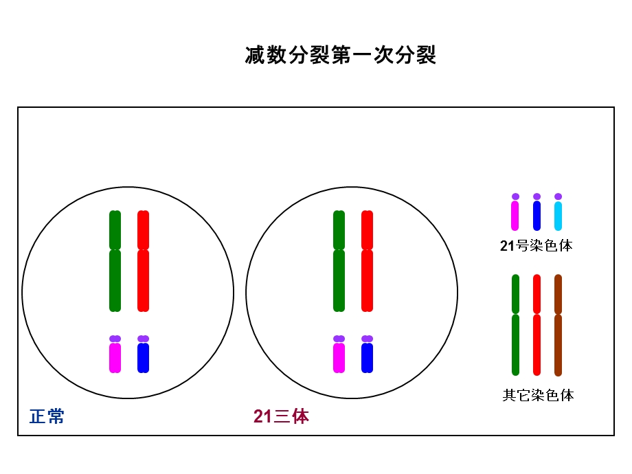 三体的形成过程.ppt_第3页