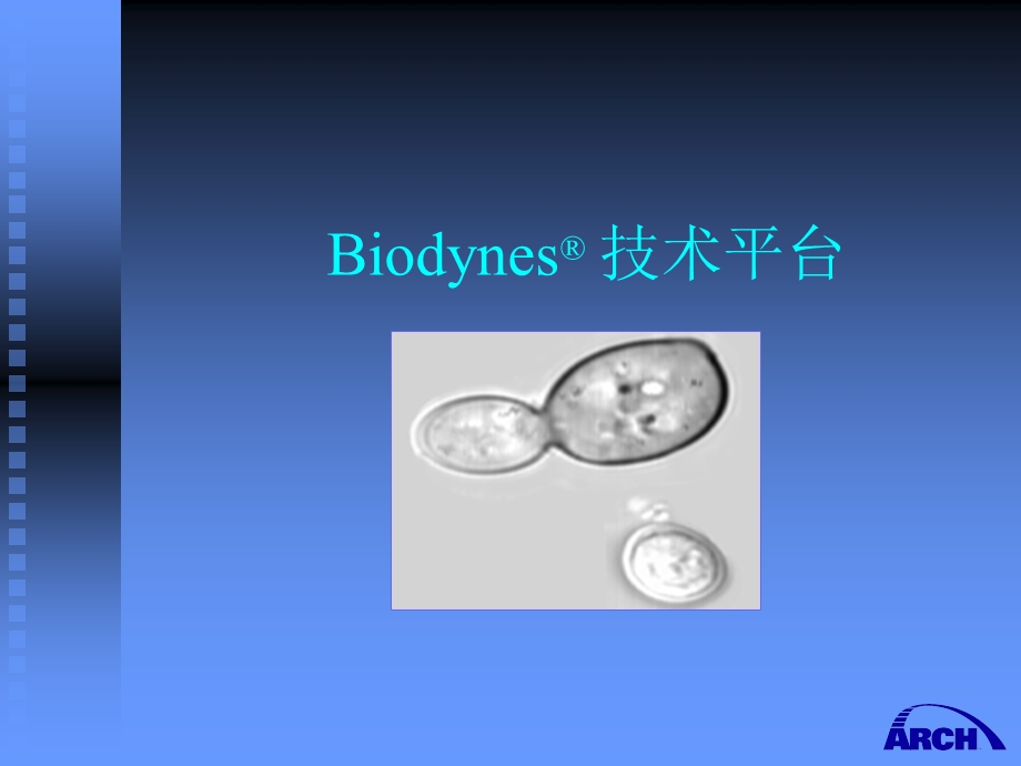 BiodynesSeries.ppt_第2页