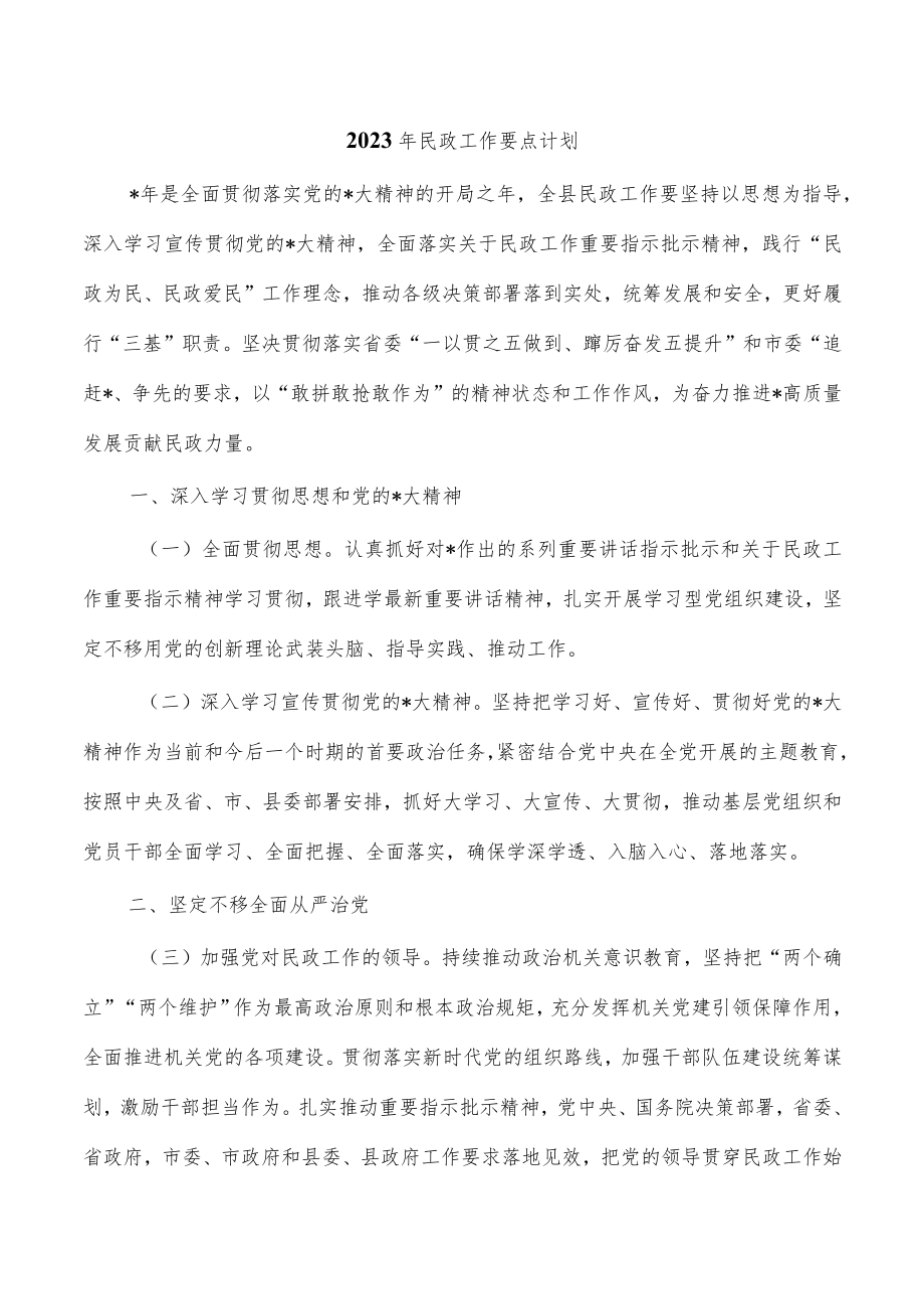 2023年民政工作要点计划.docx_第1页