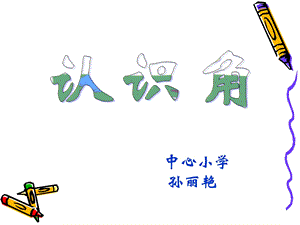 中心小学孙丽艳.ppt