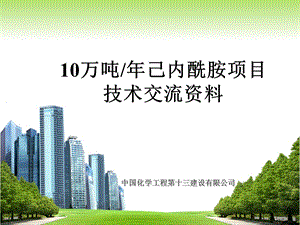 万吨己内酰胺资料介绍.ppt