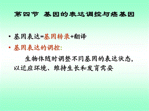 四节基因表达调控与癌基因.ppt