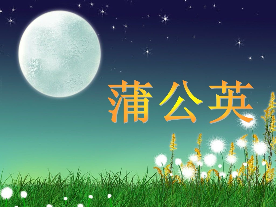 《蒲公英》二年级美术课件.ppt_第1页