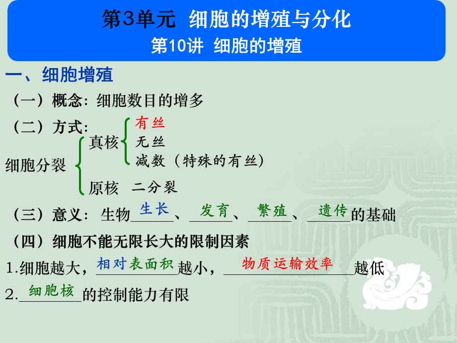 210细胞增殖张韶杰.ppt_第1页