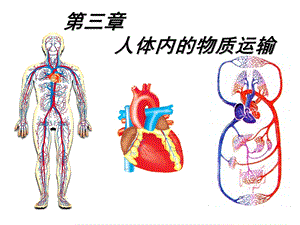 七级下册生物课件人体内的物质运输.ppt