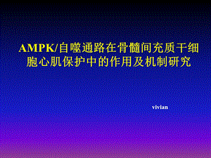 AMPK自噬通路在骨髓间充质干细胞心肌保护中的作用及机制研究.ppt