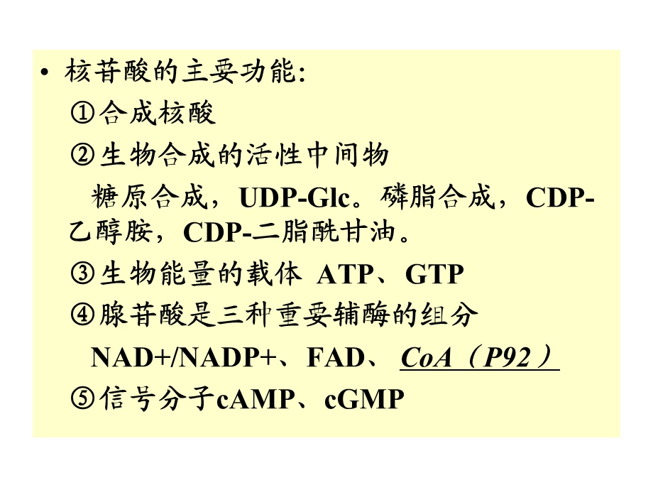 091核酸代谢12081026.ppt_第2页