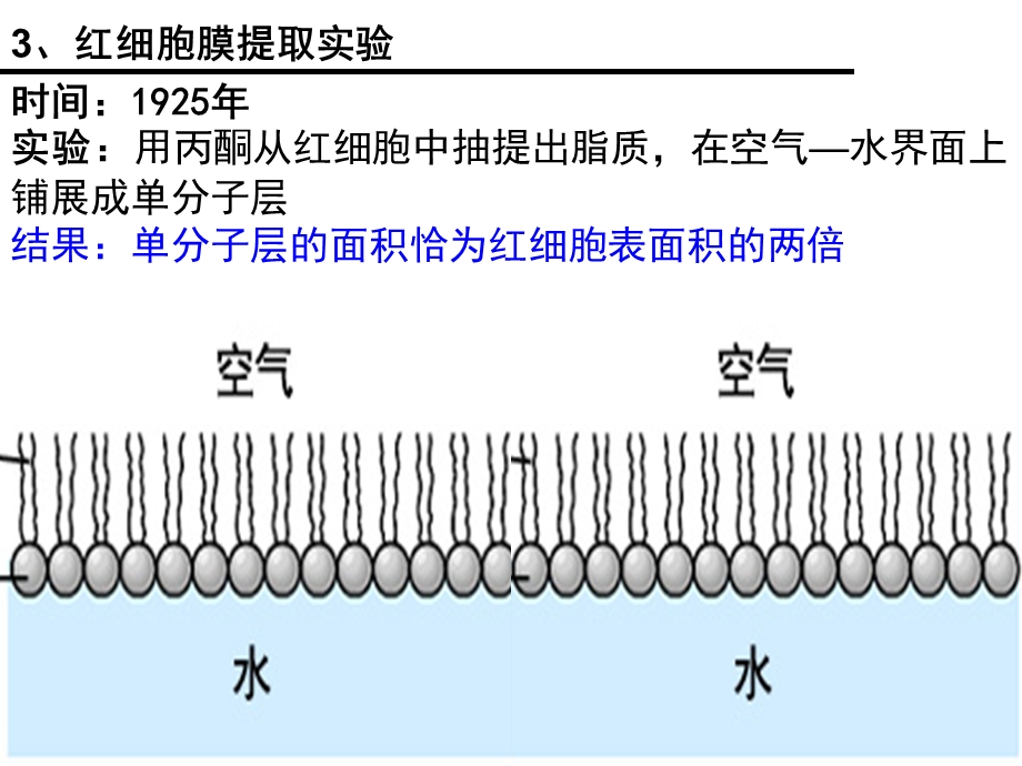 一轮复习：细胞膜流动镶嵌模型.ppt_第3页