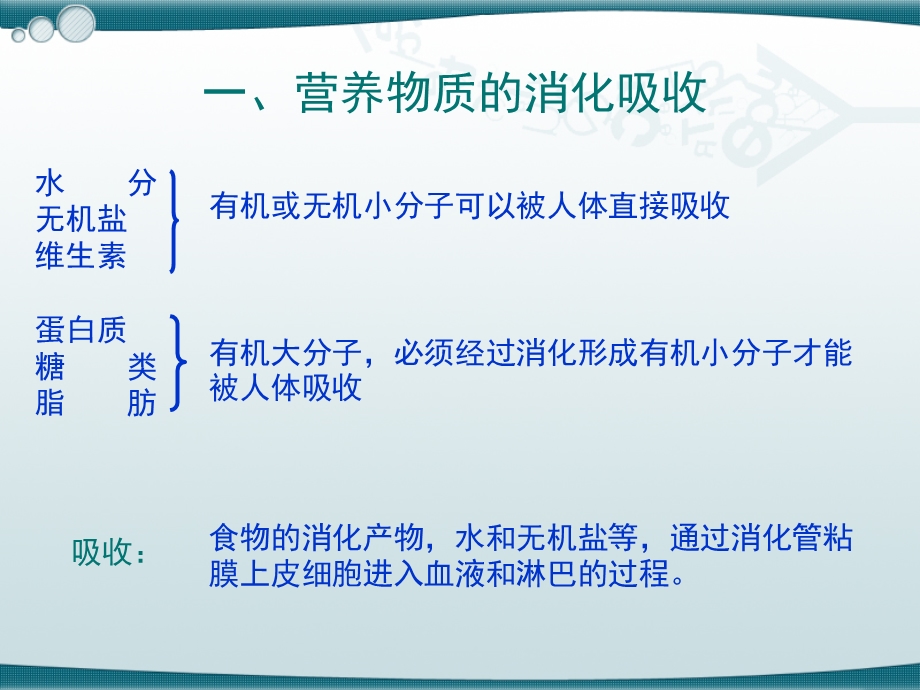 三大营养物质的代谢.ppt_第3页