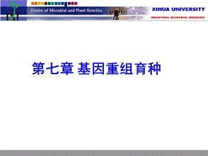 第七章基因重组育种.ppt