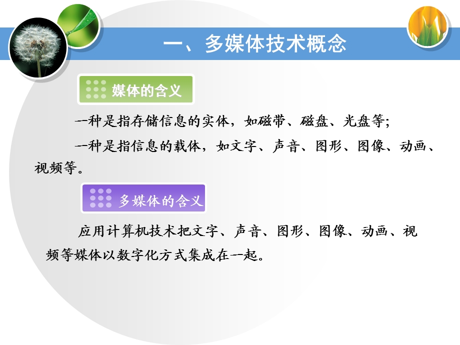 第一章多媒体技术概述课件ppt课件.ppt_第3页