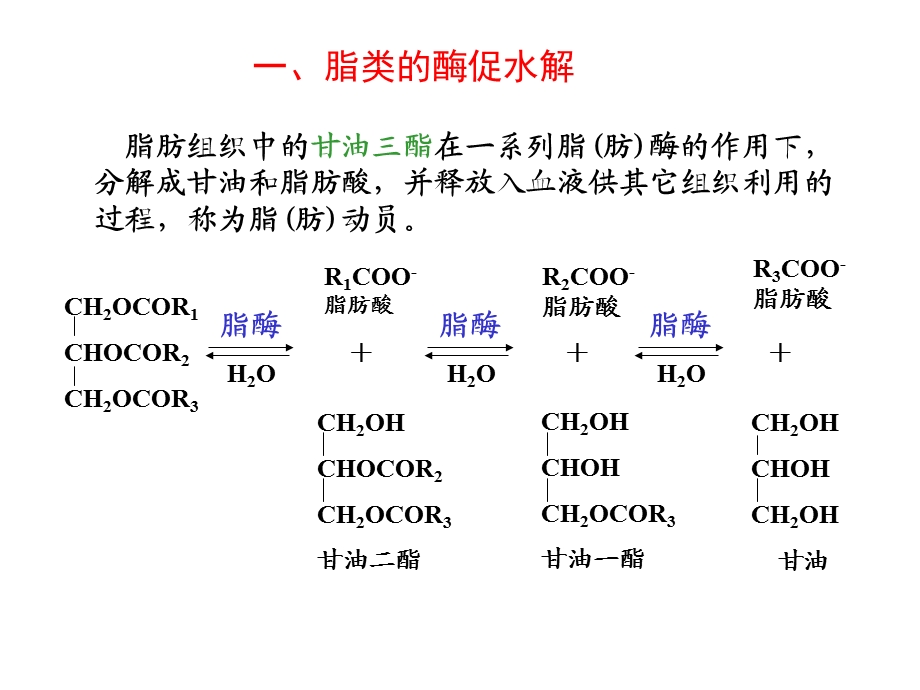 第9章脂代谢1.ppt_第2页