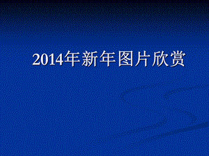 元旦新年图片欣赏PPT模板.ppt