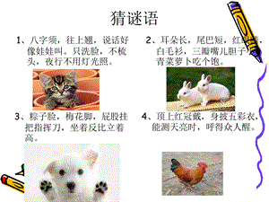 三年级上册我喜欢的小动物作文.ppt