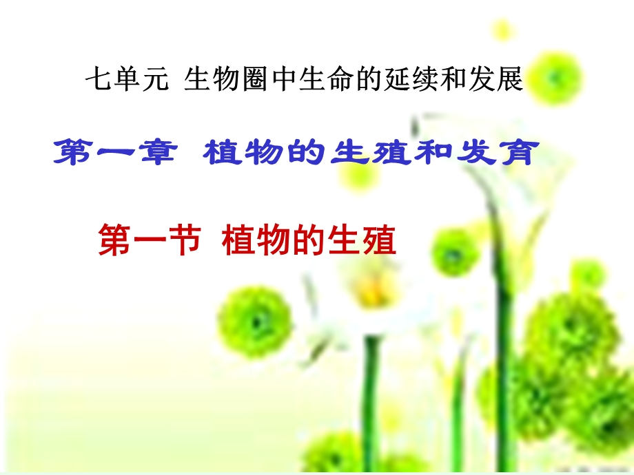 课件第一节植物的生殖精品教育.ppt_第1页