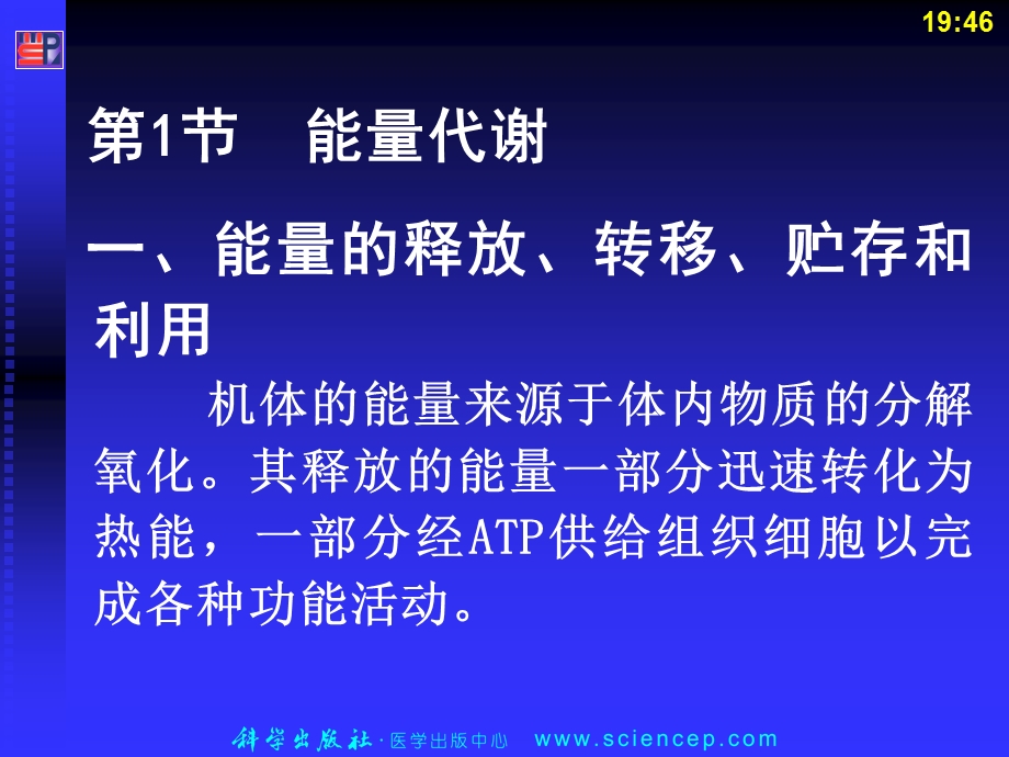 第9章能量代谢和体温的课件定稿生理学.ppt_第3页