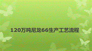 万吨尼龙66生产工艺流程.ppt