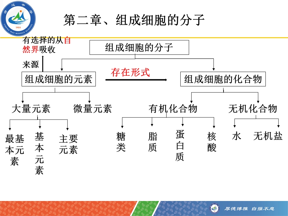 一轮复习组成细胞的元素及无机化合物概述.ppt_第1页