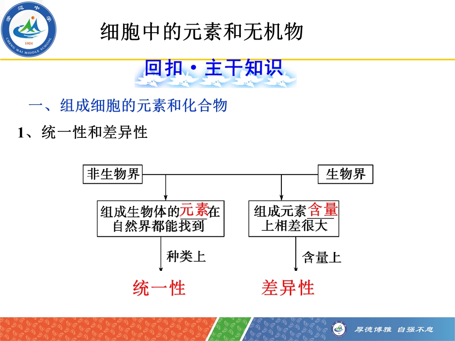 一轮复习组成细胞的元素及无机化合物概述.ppt_第3页