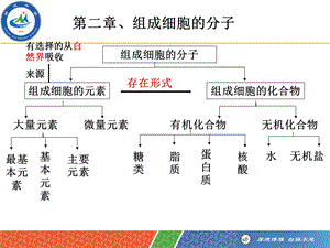 一轮复习组成细胞的元素及无机化合物概述.ppt