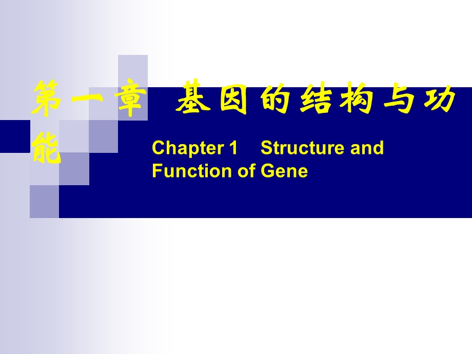 第二章基因组的结.ppt_第1页