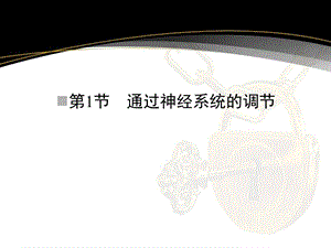 第通过神经系统的调.ppt