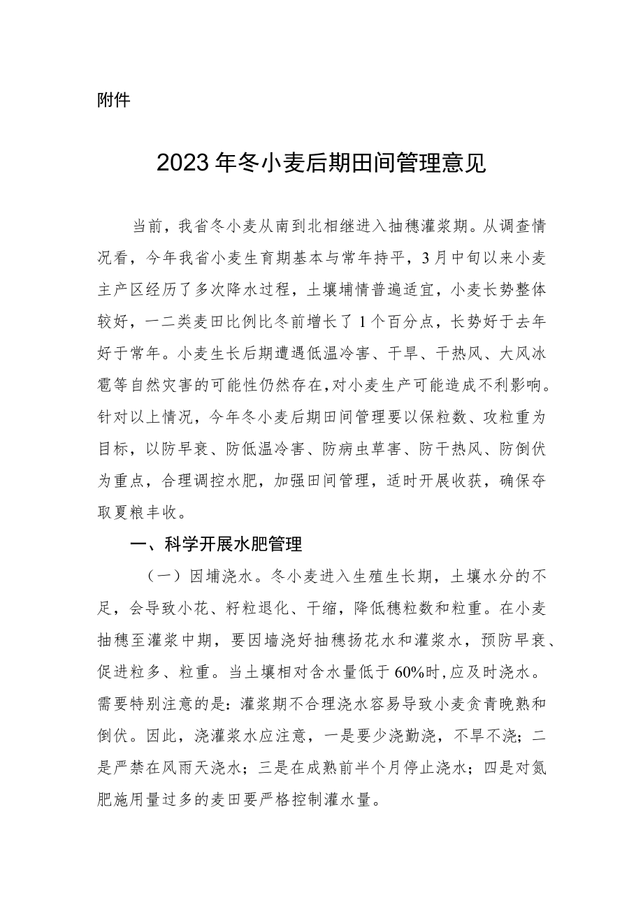 2023年冬小麦后期田间管理意见.docx_第1页