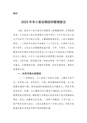 2023年冬小麦后期田间管理意见.docx