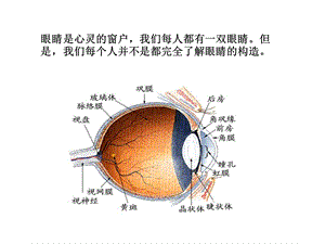 常见的眼睛疾病.ppt