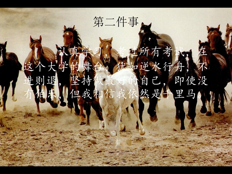 大学最想做的十二件事.ppt_第3页