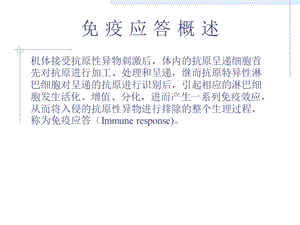 免疫应答概述.ppt