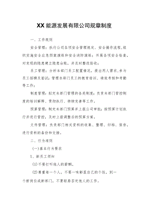 XX能源发展有限公司规章制度.docx