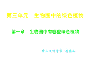 七年级生物藻类、苔藓和蕨类植物.ppt