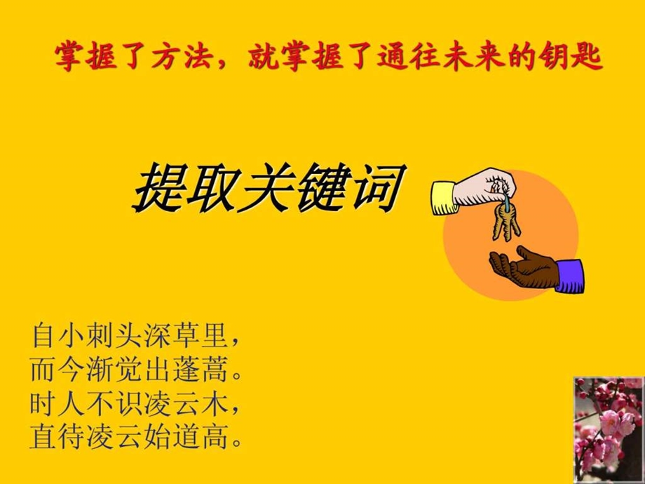 阅读中的关键词.ppt_第1页