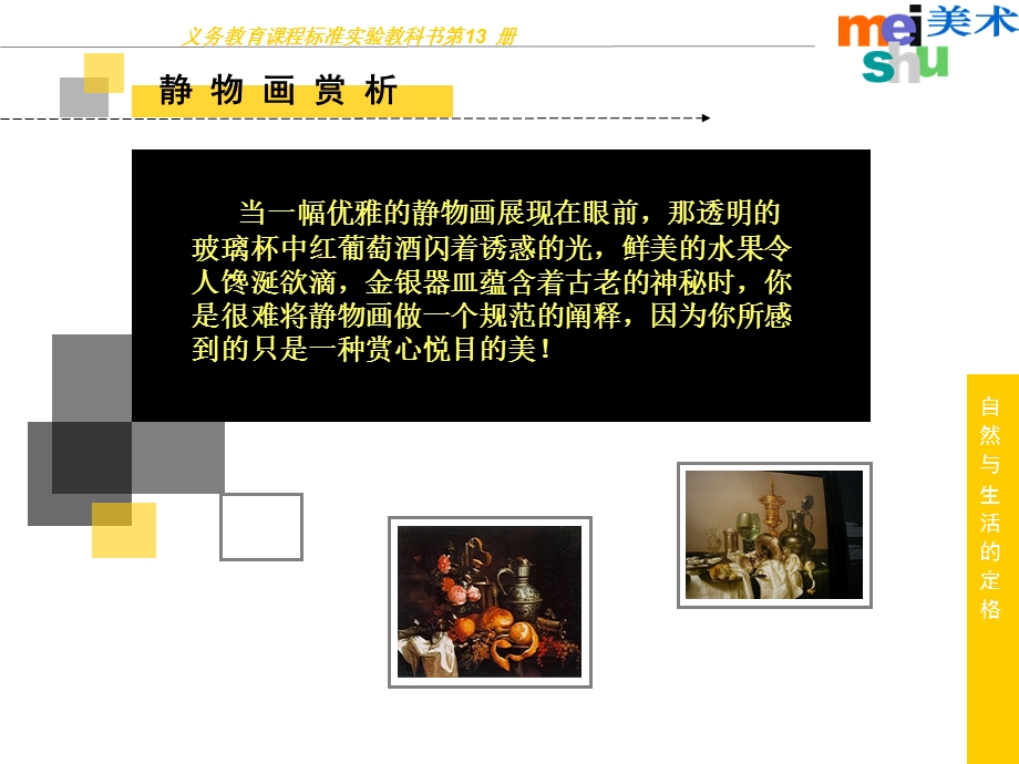 七上美术静物画.ppt_第3页