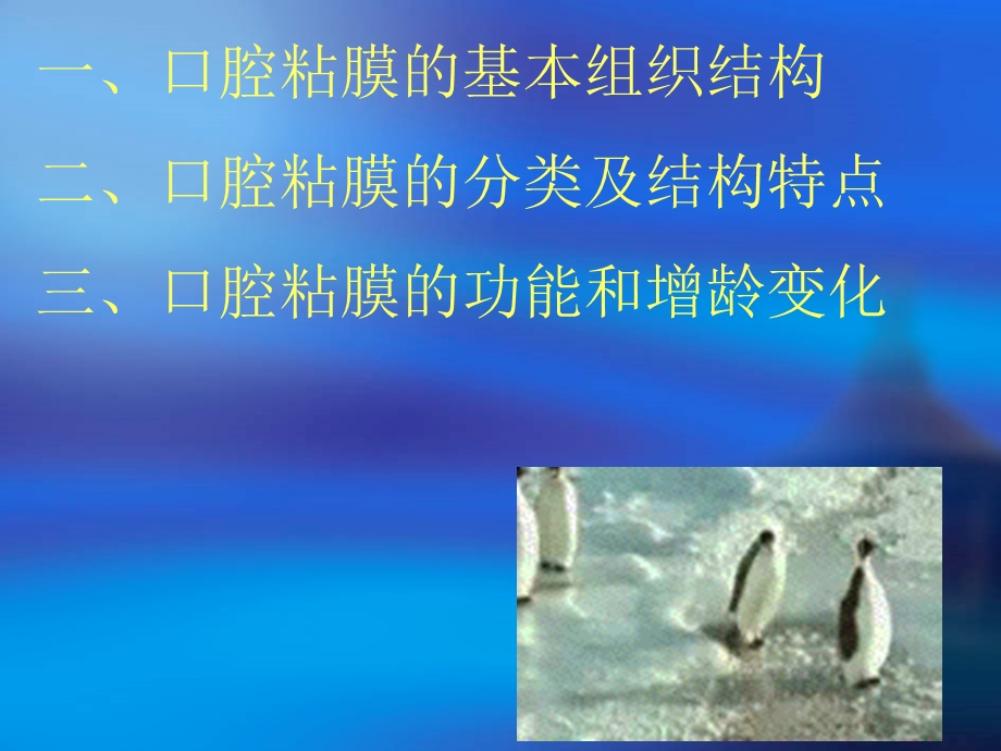 口腔粘膜.ppt_第3页