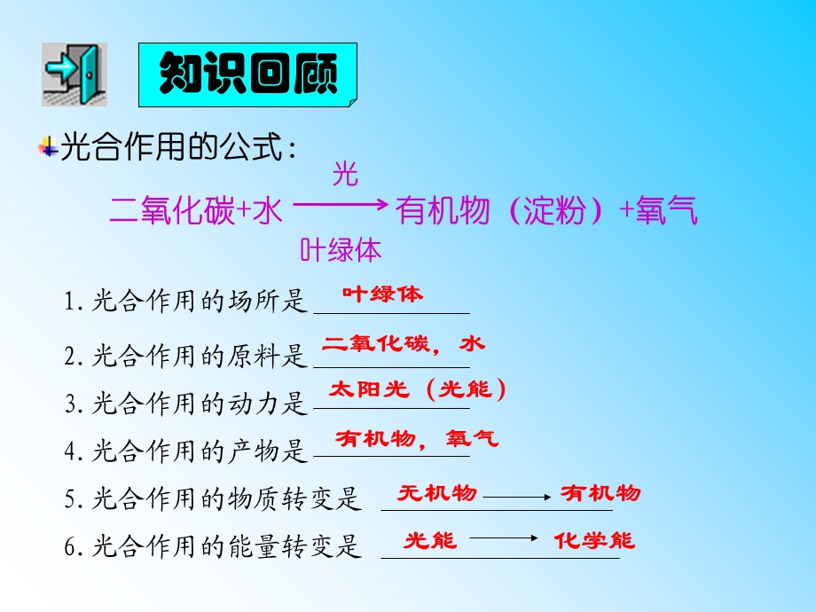 七年级生物上册绿色植物的呼吸作用.ppt_第1页