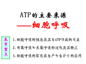 《ATP的主要来源-细胞呼吸》.ppt