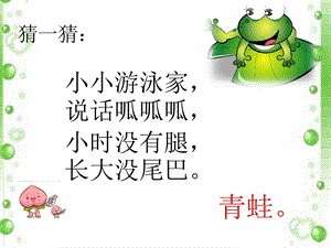 一年级语文下《小青蛙》.ppt