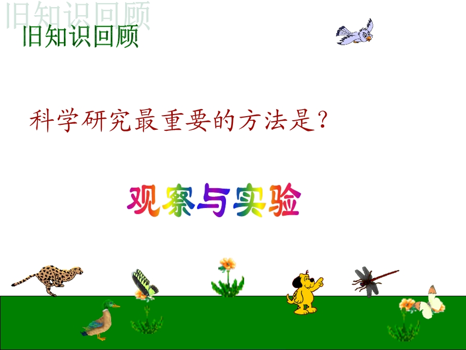 七年级科学观察蜗牛.ppt_第1页