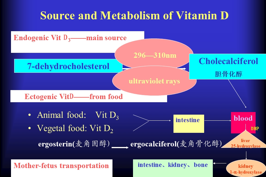 RicketsofVitaminDDeficiency维生素D缺乏性佝偻病.ppt_第3页