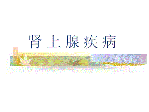 肾上腺疾病.ppt