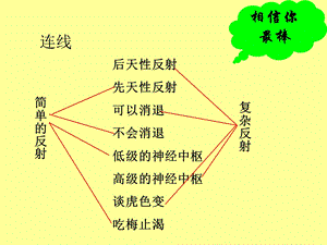 七年级生物《人的激素调节》ppt课件.ppt