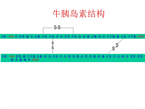 牛胰岛素结构图及相关.ppt