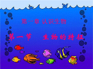 七年级上册《生物的特征》ppt.ppt