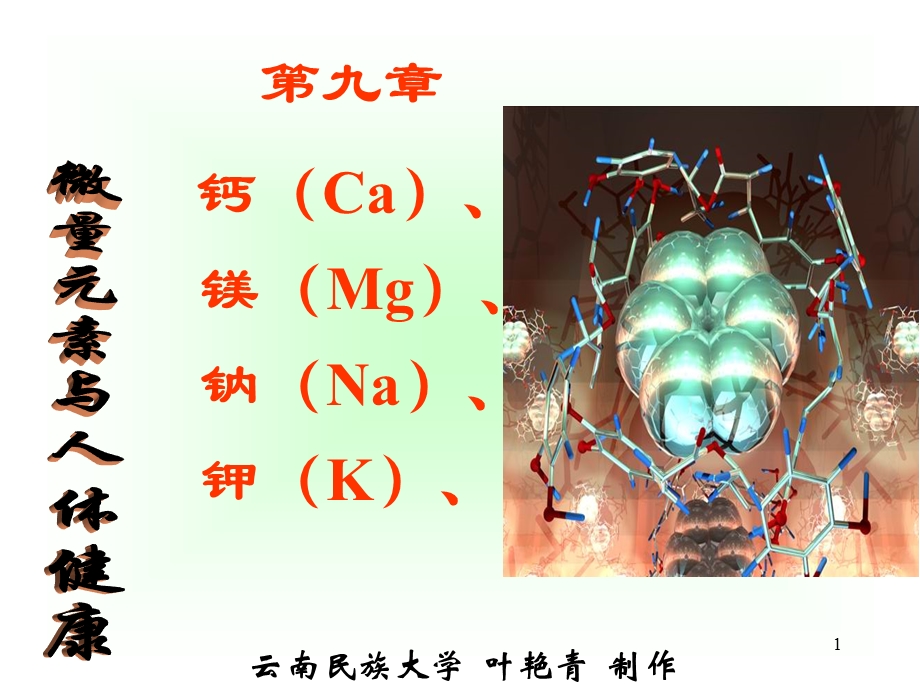 第九章钙镁钠钾.ppt_第1页