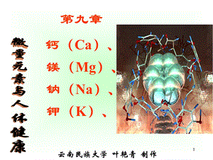 第九章钙镁钠钾.ppt